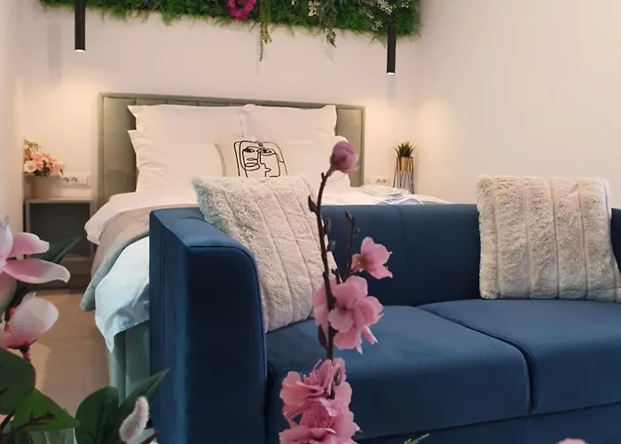 Premium Hils Brauner *