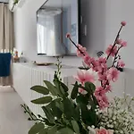 Premium Hils Brauner *