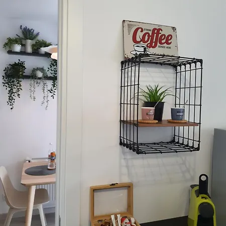 Premium Hils Brauner *