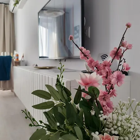 Premium Hils Brauner *