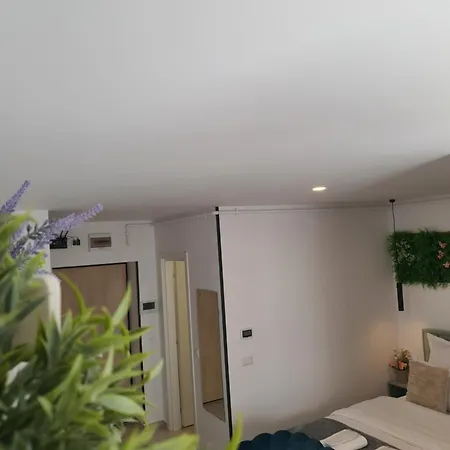 Premium Hils Brauner Bucarest