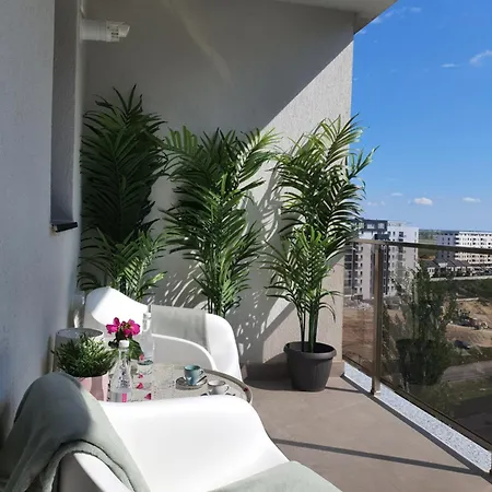 Premium Hils Brauner *