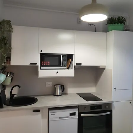 Premium Hils Brauner