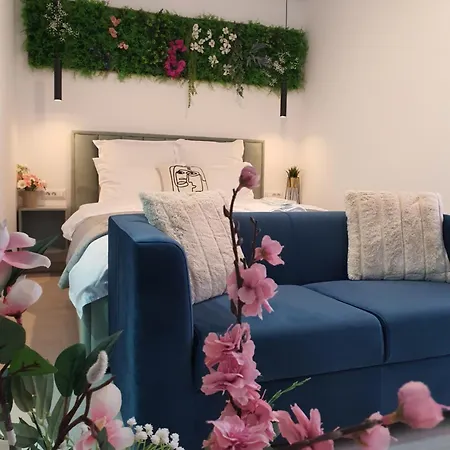 Premium Hils Brauner *