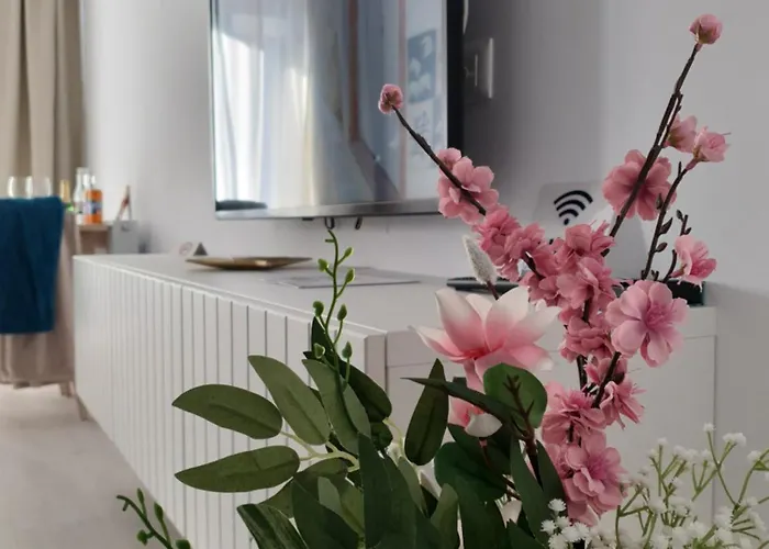 Premium Hils Brauner *