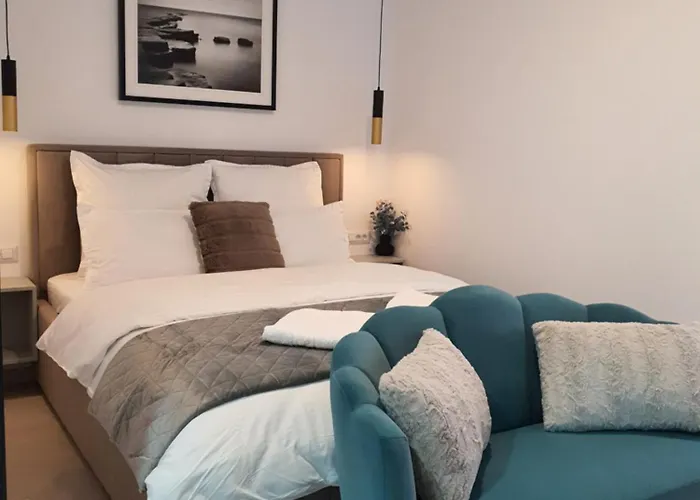 Premium Hils Brauner