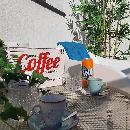 Premium Hils Brauner *