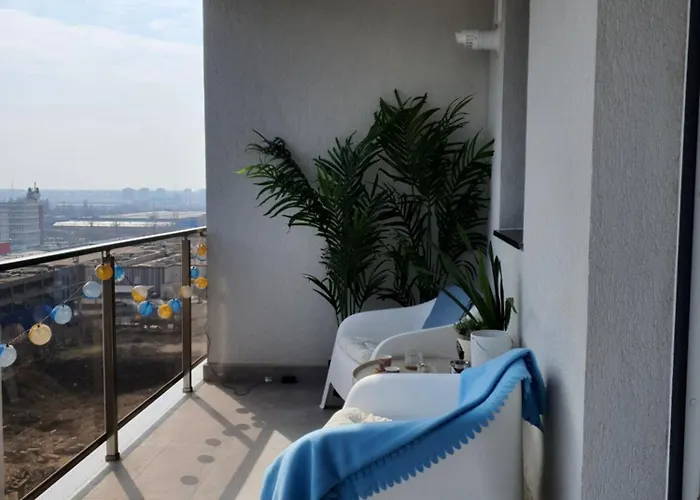 Premium Hils Brauner 布加勒斯特