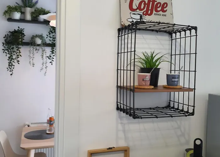 Premium Hils Brauner *