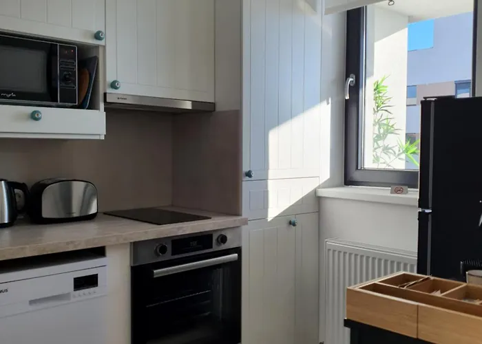 Premium Hils Brauner *