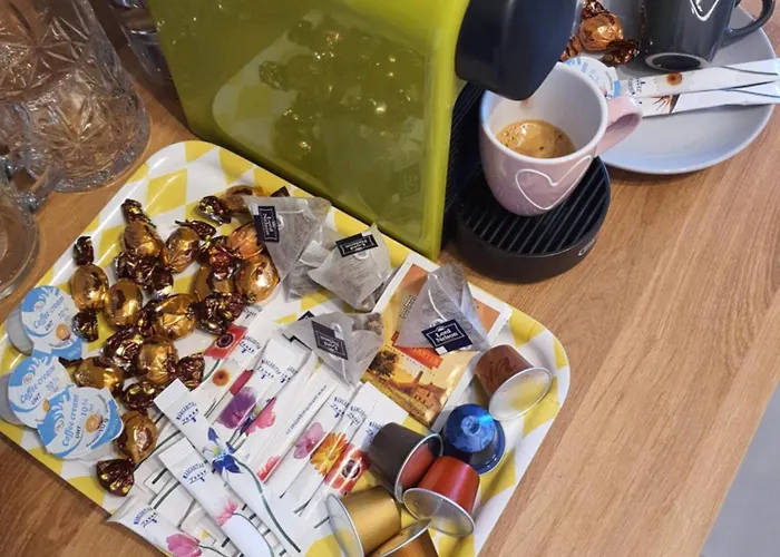 Premium Hils Brauner