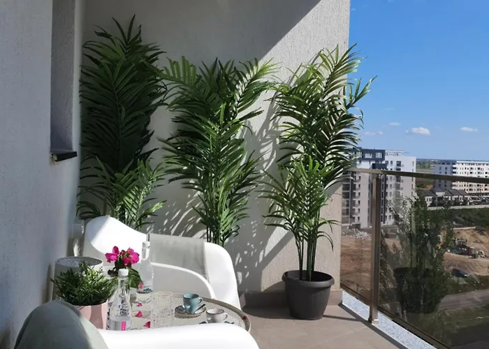 Premium Hils Brauner *